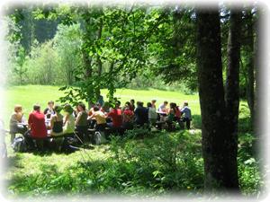 Pikniki - organizacija in najem piknik prostora